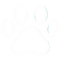 Paws