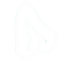 Ears